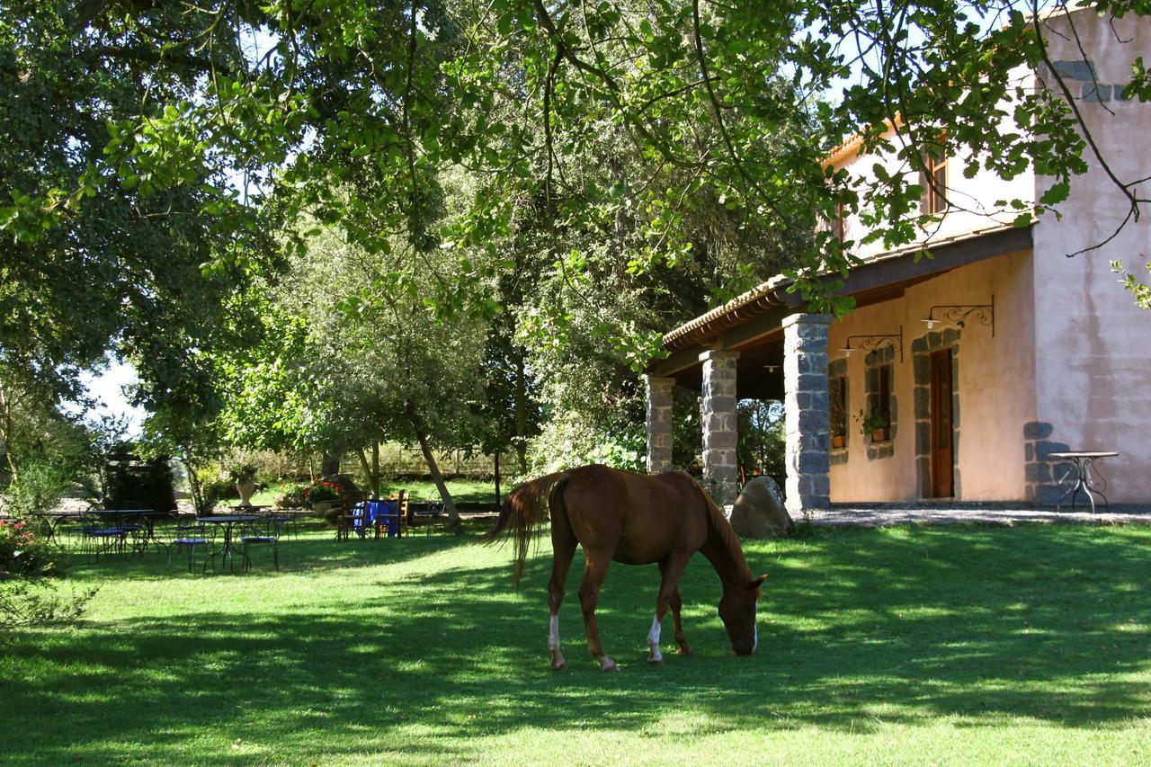 Country Hotel Mandra Edera Аббазанта Экстерьер фото