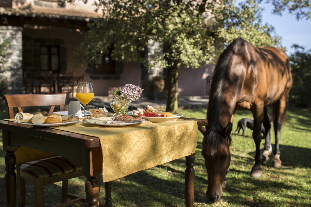 Country Hotel Mandra Edera Аббазанта Экстерьер фото